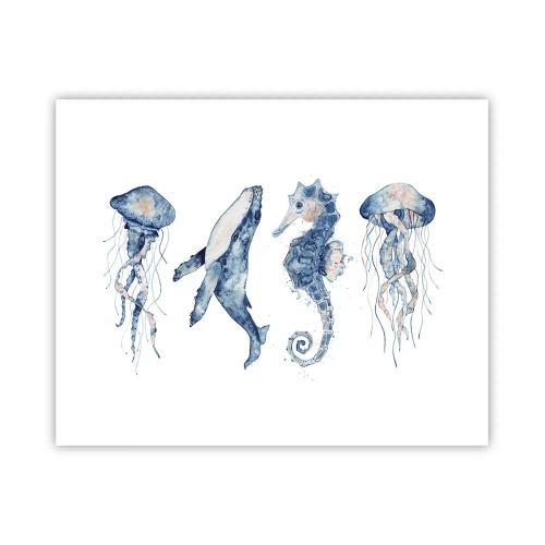 Affiche - Poster - Merveilles de la mer - 50x40 cm