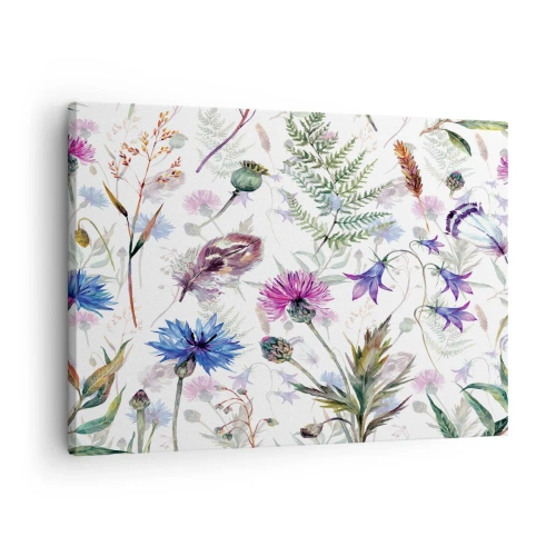 Impression sur toile - Image sur toile - Fleurs et herbes à l'aquarelle sur fond blanc dans le style herbier - 70x50cm - Herbier polonais - Décoration murale moderne pour le salon et la chambre ARTTOR