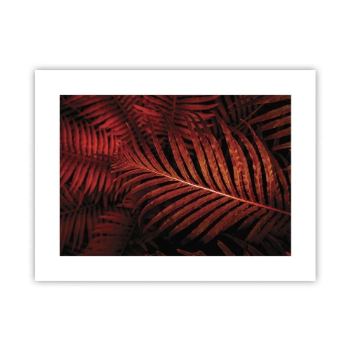 Affiche - Poster - Chaleur de la vie - 40x30 cm