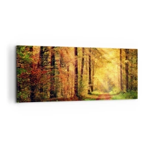 Impression sur toile - Image sur toile - Silence d'or en forêt - 100x40 cm