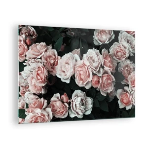 Impression sur verre - Image sur verre - Gros plan d'un bouquet de roses roses sur fond sombre - 70x50cm - Ensemble de rose - Décoration murale moderne pour le salon et la chambre ARTTOR