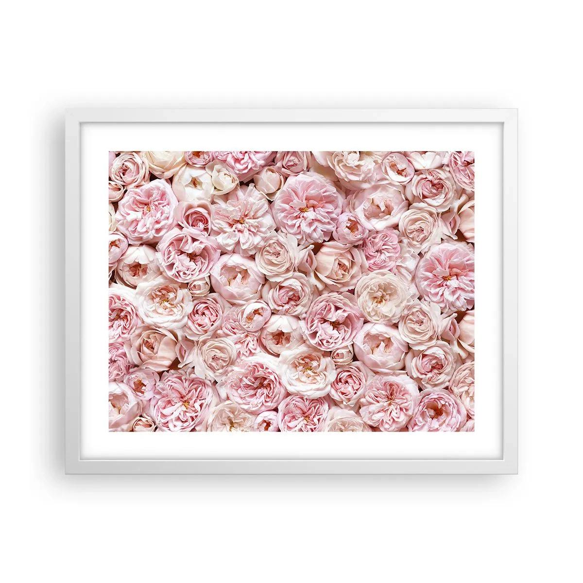 Affiche dans un cadre blanc - Poster - Un lit de roses - 50x40 cm