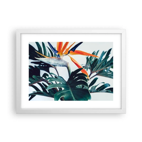 Affiche dans un cadre blanc - Poster - Le buisson oiseaux - 40x30 cm