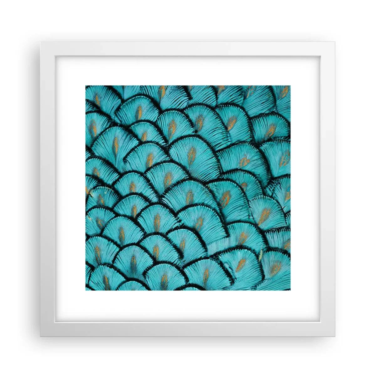 Affiche dans un cadre blanc - Poster - Le grand gala des plumes - 30x30 cm