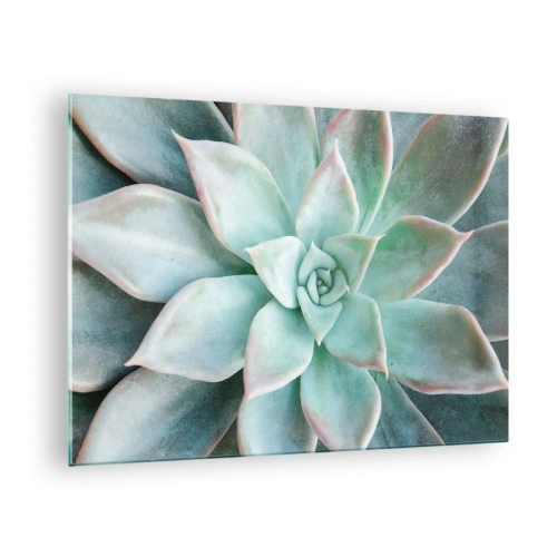 Impression sur verre - Image sur verre - Feuilles succulentes sèches avec une délicate teinte gris-vert - 70x50cm - Le coeur du désert - Décoration murale moderne pour le salon et la chambre ARTTOR