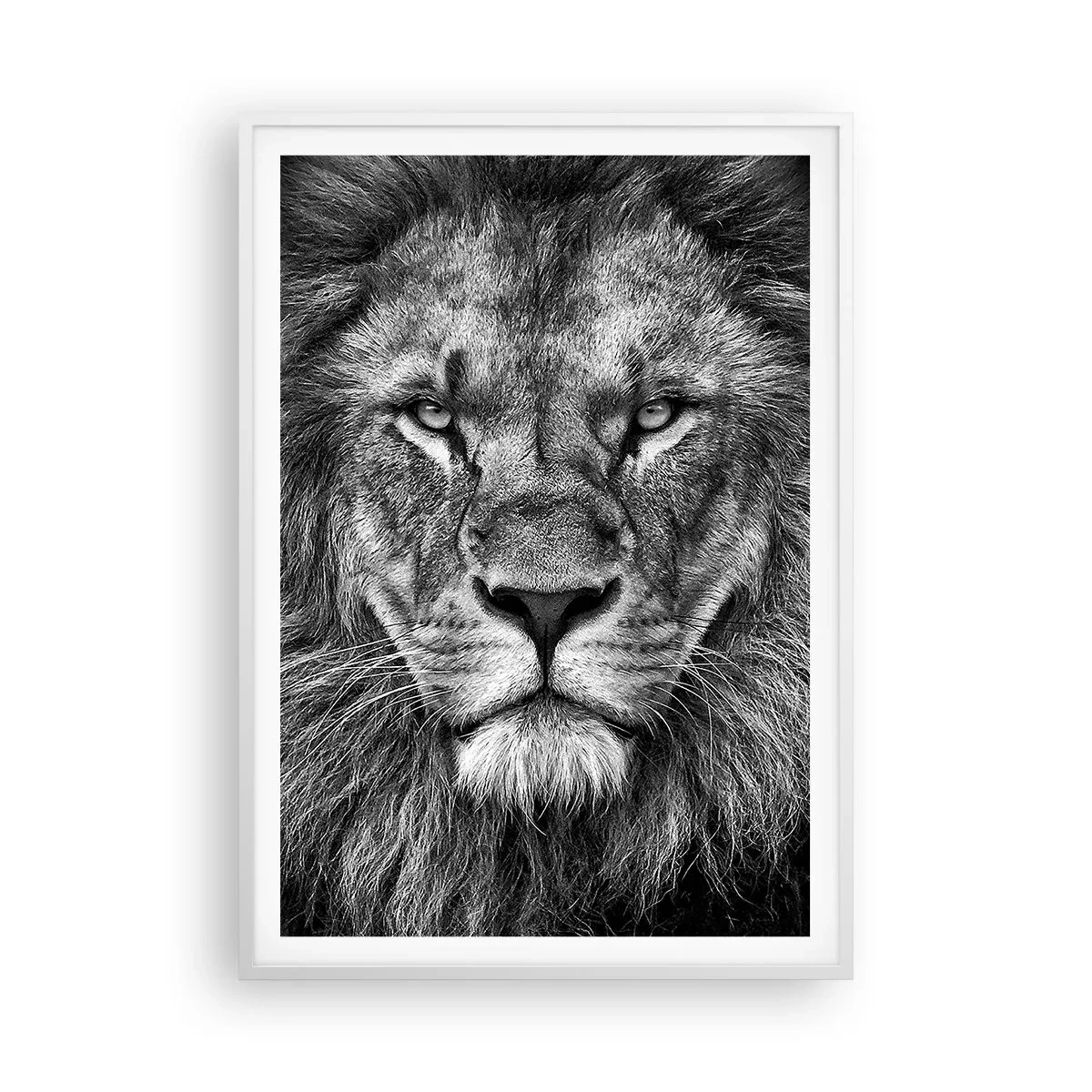 Affiche dans un cadre blanc - Poster - En vêtement de sacre - 70x100 cm