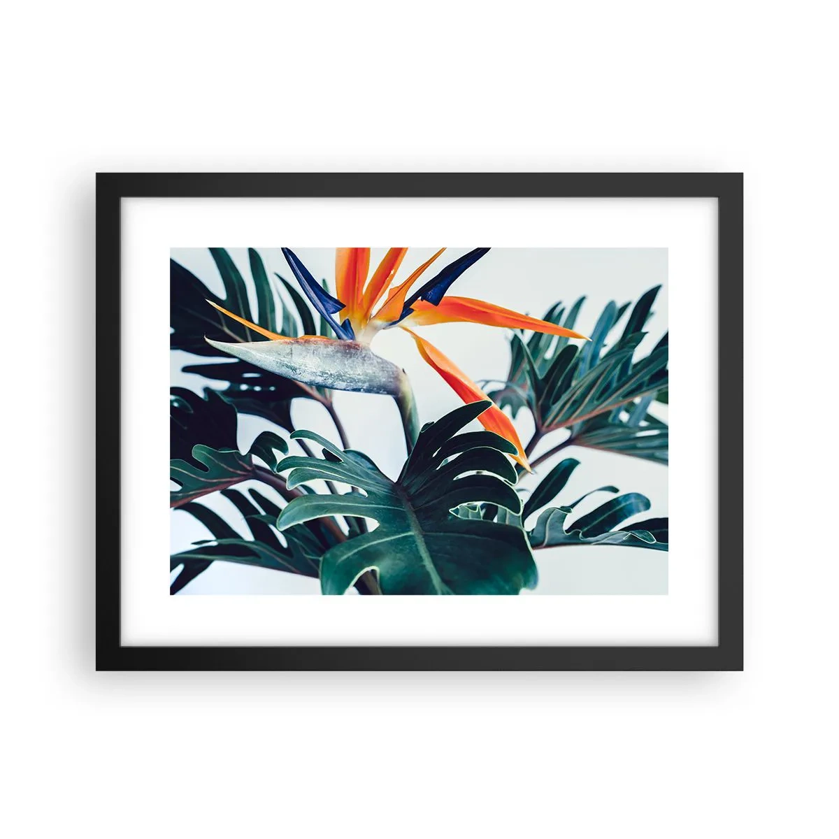 Affiche dans un cadre noir - Poster - Le buisson oiseaux - 40x30 cm