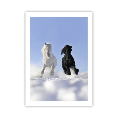 Affiche - Poster - Un cheval blanc et noir galopant dans la neige - 50x70cm - Galop noir et blanc - Décoration murale moderne pour le salon et la chambre ARTTOR