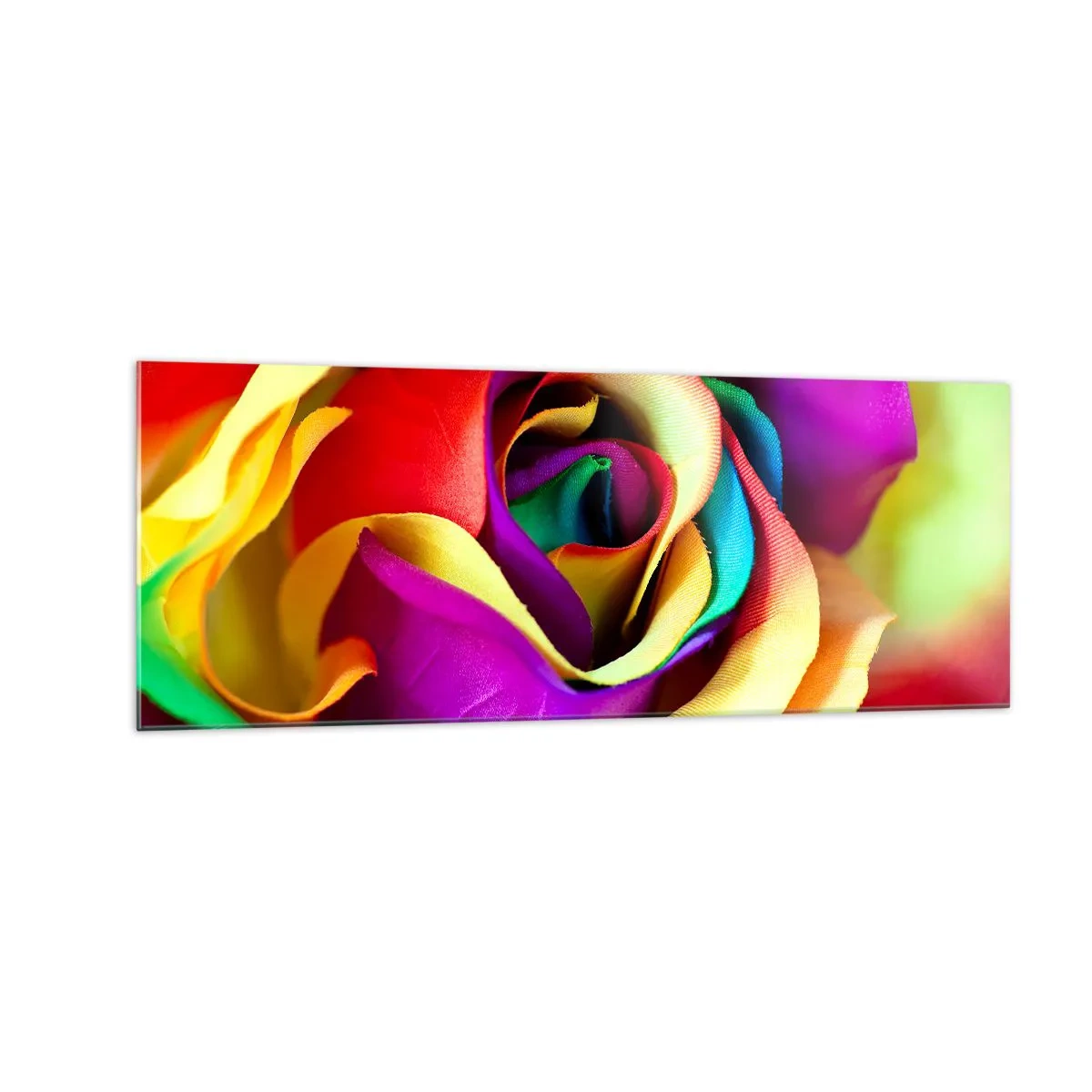 Impression sur verre - Image sur verre - Une rose colorée aux nuances de l'arc-en-ciel - 140x50cm - Ce n'est pas possible - Décoration murale moderne pour le salon et la chambre ARTTOR