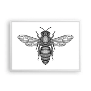 Affiche dans un cadre blanc - Poster - Portrait d'insecte - 70x50 cm