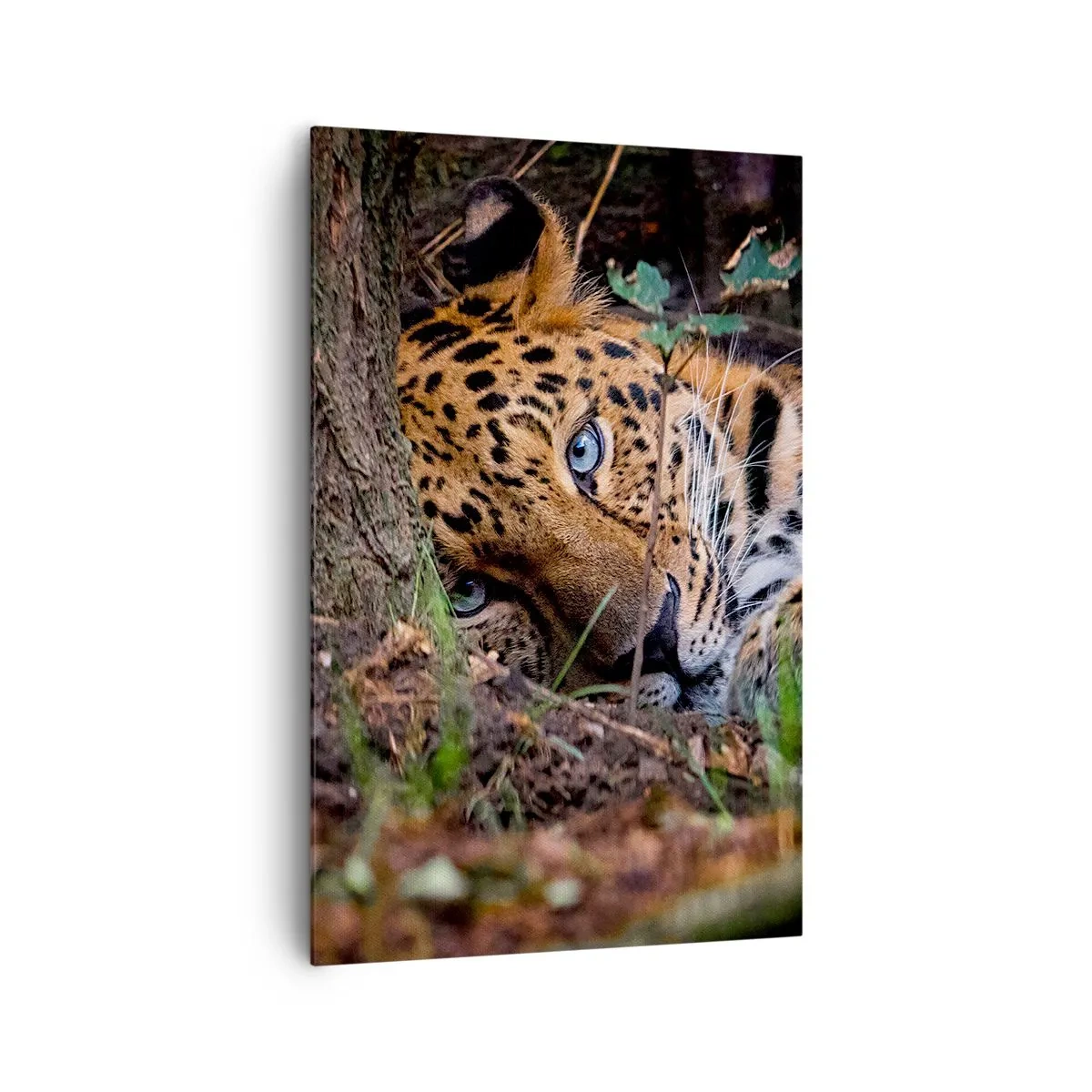Impression sur toile - Image sur toile - Un léopard couché à l'ombre des arbres - 80x120cm - Fais-moi confiance - Décoration murale moderne pour le salon et la chambre ARTTOR