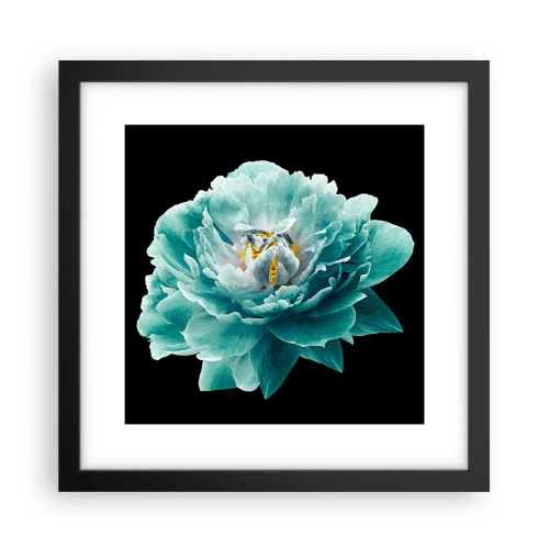 Affiche dans un cadre noir - Poster - Pétales bleus et dorés - 30x30 cm