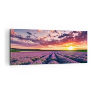Impression sur toile - Image sur toile - Monde de lavande - 100x40 cm