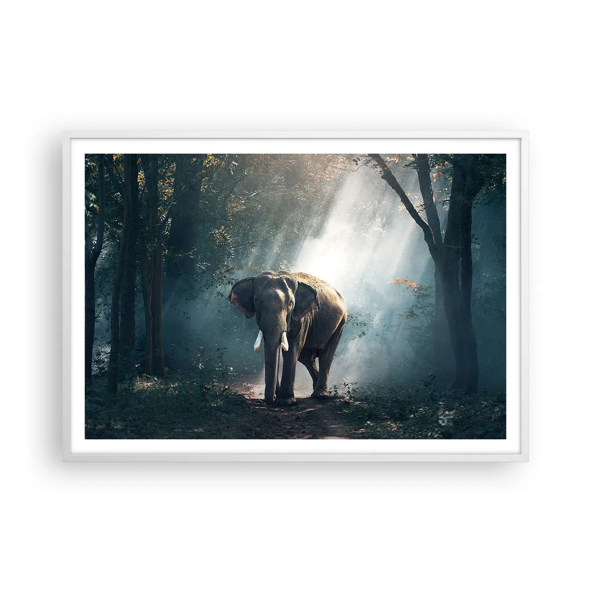 Affiche dans un cadre blanc - Poster - Une balade tranquille - 100x70 cm