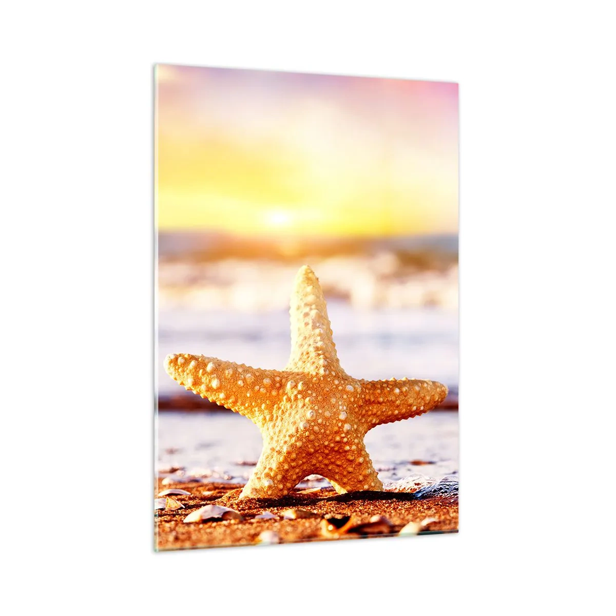 Impression sur verre - Image sur verre - Étoiles de mer sur la plage à la lumière du soleil couchant - 50x70cm - Cadeau de la mer - Décoration murale moderne pour le salon et la chambre ARTTOR