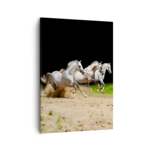 Impression sur toile - Image sur toile - Trois chevaux blancs galopant sur le sable et l'herbe - 50x70cm - Trois Grâces - Décoration murale moderne pour le salon et la chambre ARTTOR