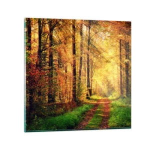 Impression sur verre - Image sur verre - Silence d'or en forêt - 30x30 cm