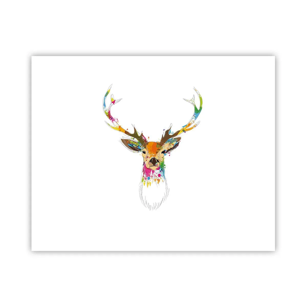 Affiche - Poster - Un cerf doux baigné de couleur - 50x40 cm