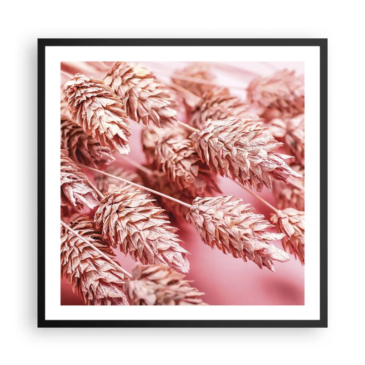 Affiche dans un cadre noir - Poster - Une cascade florale en rose - 60x60 cm