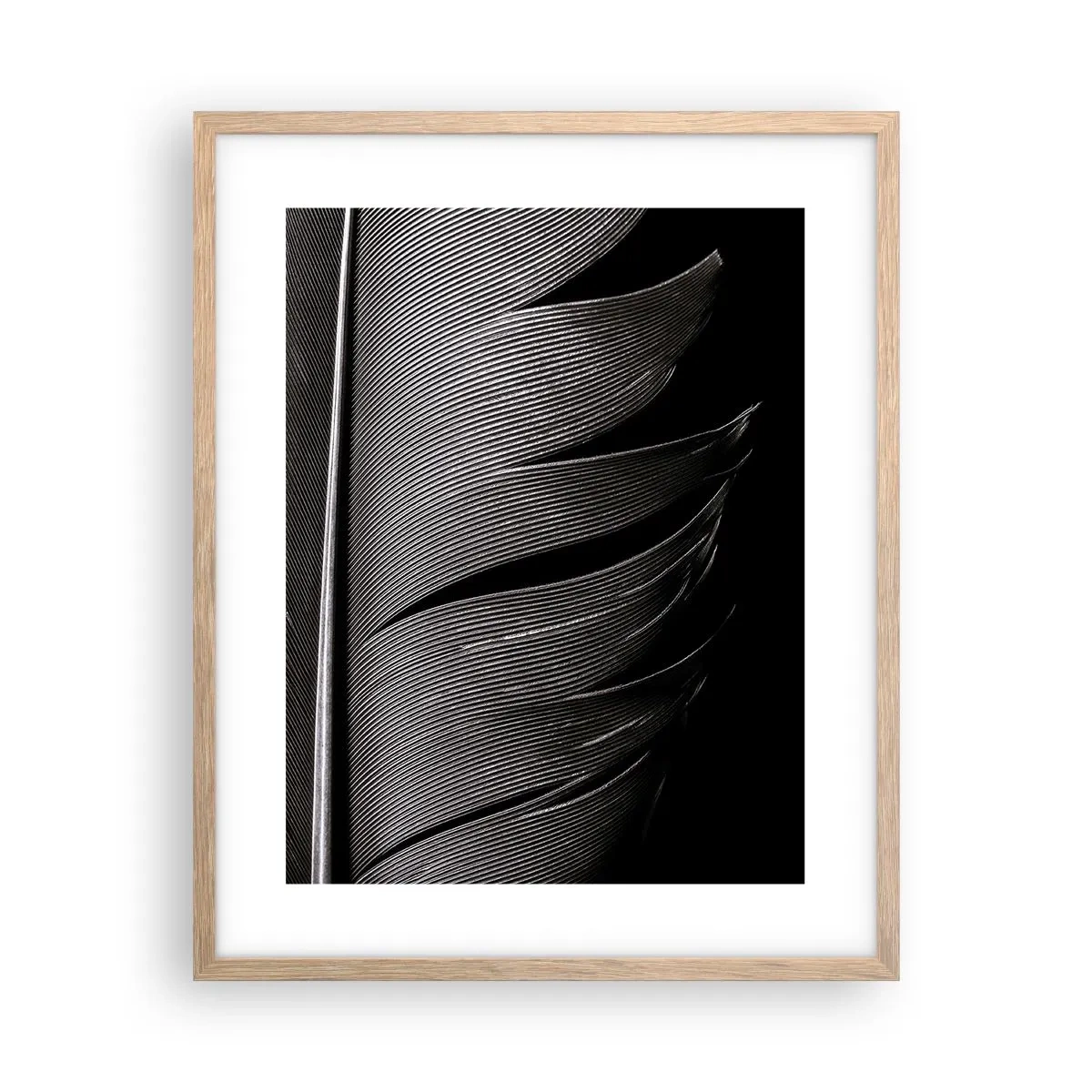 Affiche dans un chêne clair - Poster - La plume – un design magnifique - 40x50 cm
