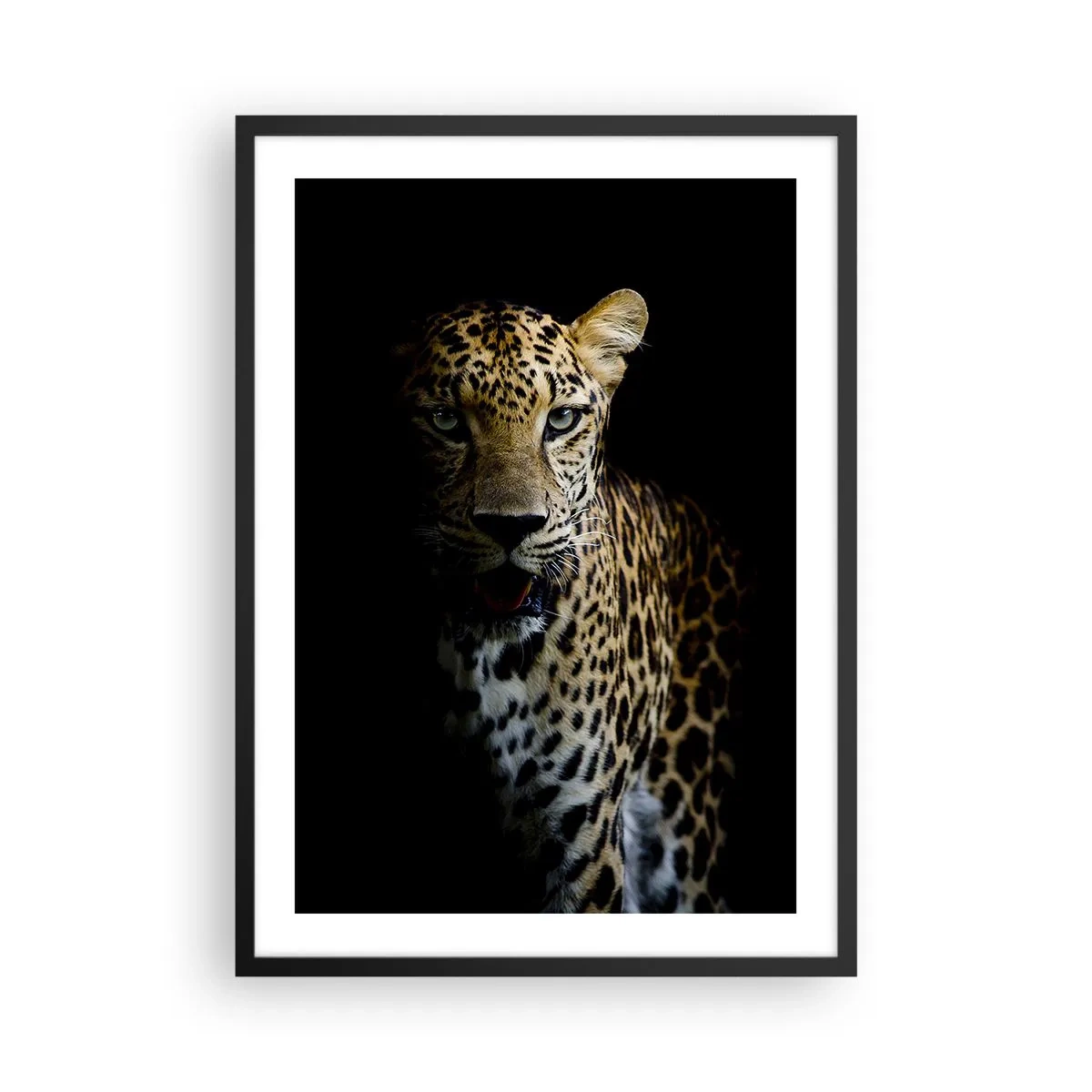 Affiche dans un cadre noir - Poster - Un léopard sur un fond sombre avec des détails de fourrure vifs. - 50x70cm - Beauté sombre - Décoration murale moderne pour le salon et la chambre ARTTOR