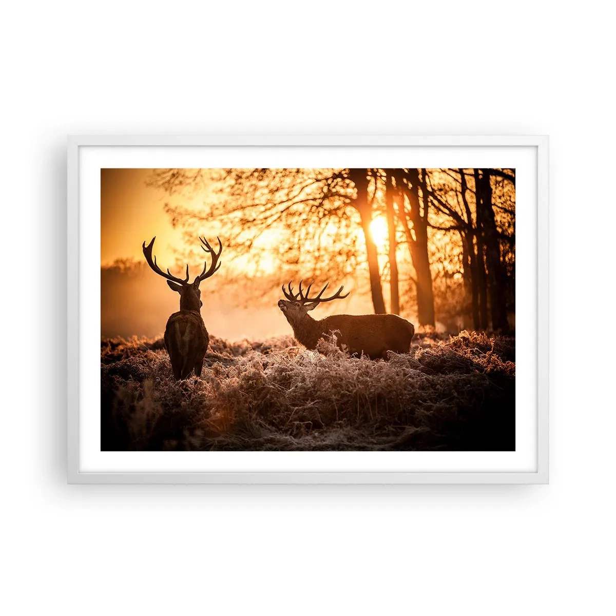 Affiche dans un cadre blanc - Poster - Le rêve d'un chasseur - 70x50 cm