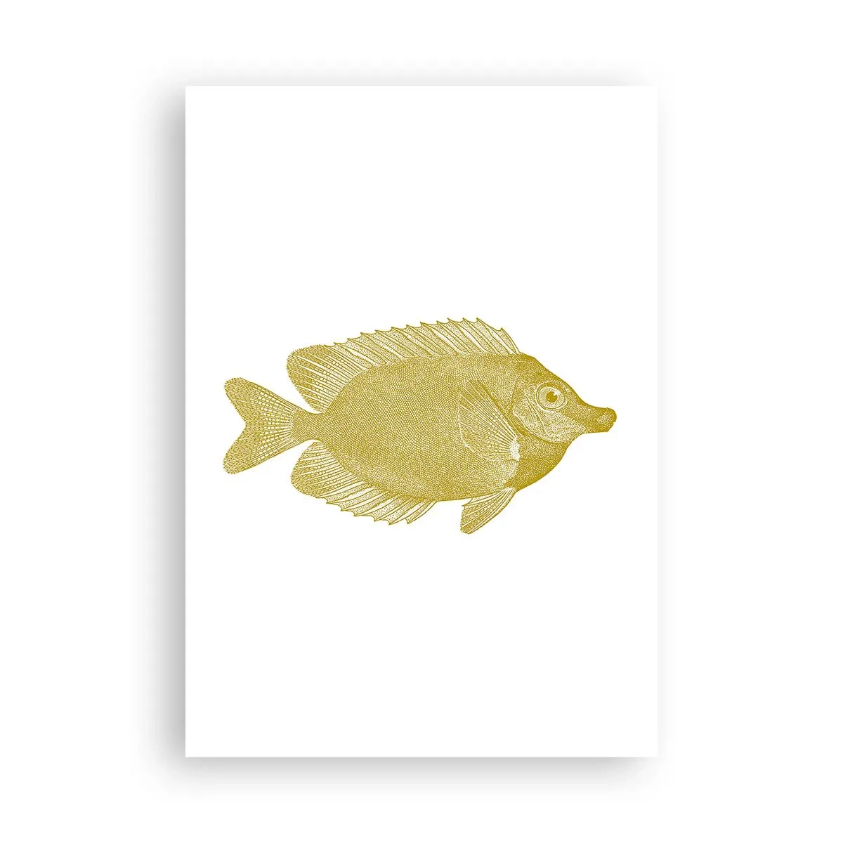 Affiche - Poster - Du poisson et c'est tout - 70x100 cm