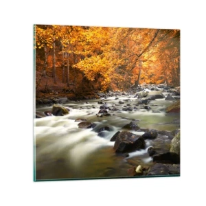 Impression sur verre - Image sur verre - Un ruisseau dans une forêt dorée - 40x40 cm