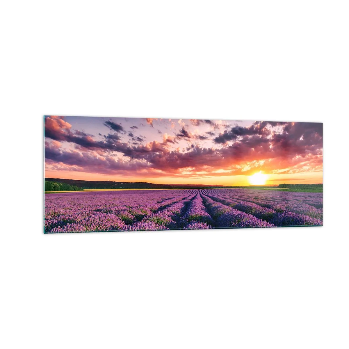 Impression sur verre - Image sur verre - Un champ de lavande au coucher du soleil avec un ciel coloré - 140x50cm - Monde de lavande - Décoration murale moderne pour le salon et la chambre ARTTOR