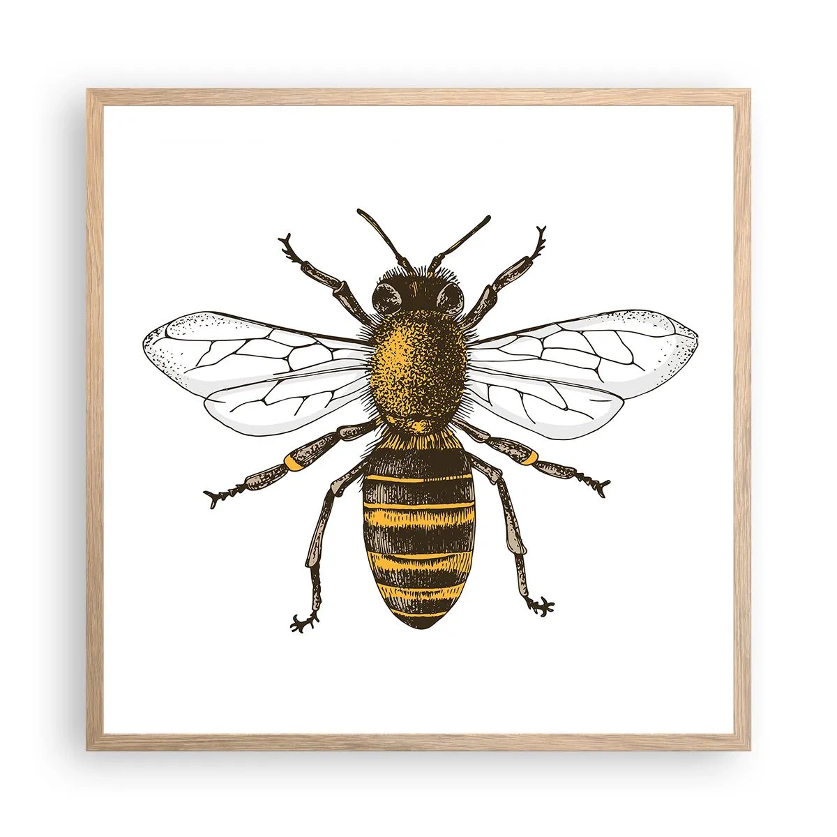 Affiche dans un chêne clair - Poster - Belle et bonne - 60x60 cm