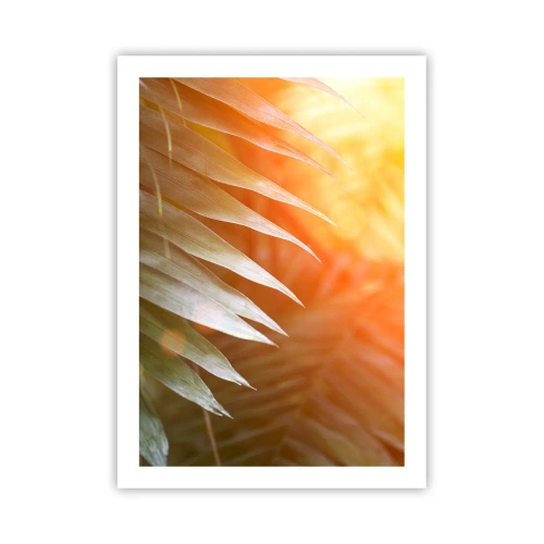 Affiche - Poster - Feuilles de palmier à la lumière du soleil couchant - 50x70cm - Matinée dans la jungle - Décoration murale moderne pour le salon et la chambre ARTTOR