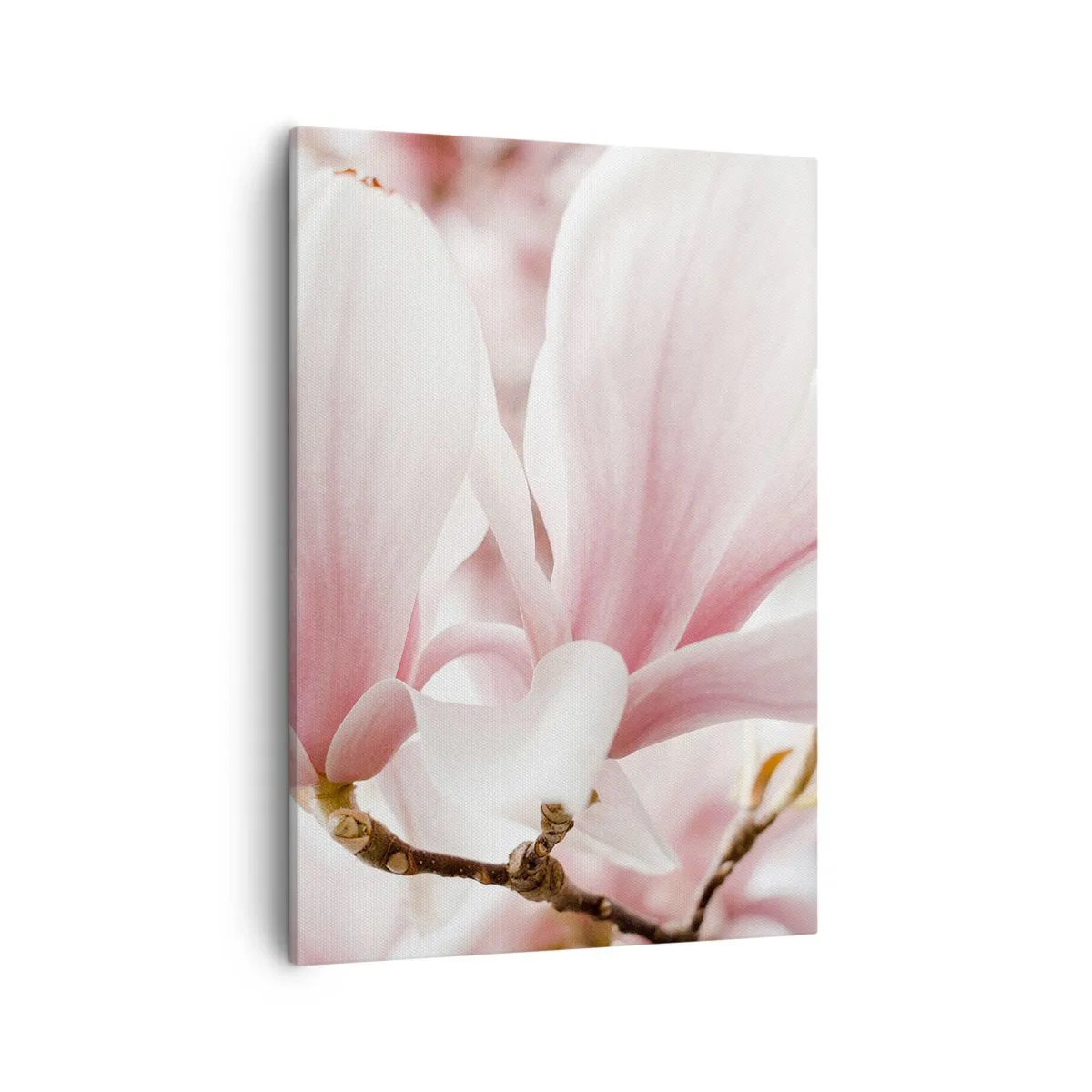 Impression sur toile - Image sur toile - Fleurs de magnolia délicates aux tons pastel - 50x70cm - Abondance de tendresse - Décoration murale moderne pour le salon et la chambre ARTTOR