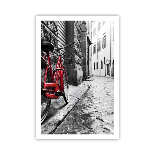 Affiche - Poster - La vraie beauté ne vieillit pas - 61x91 cm