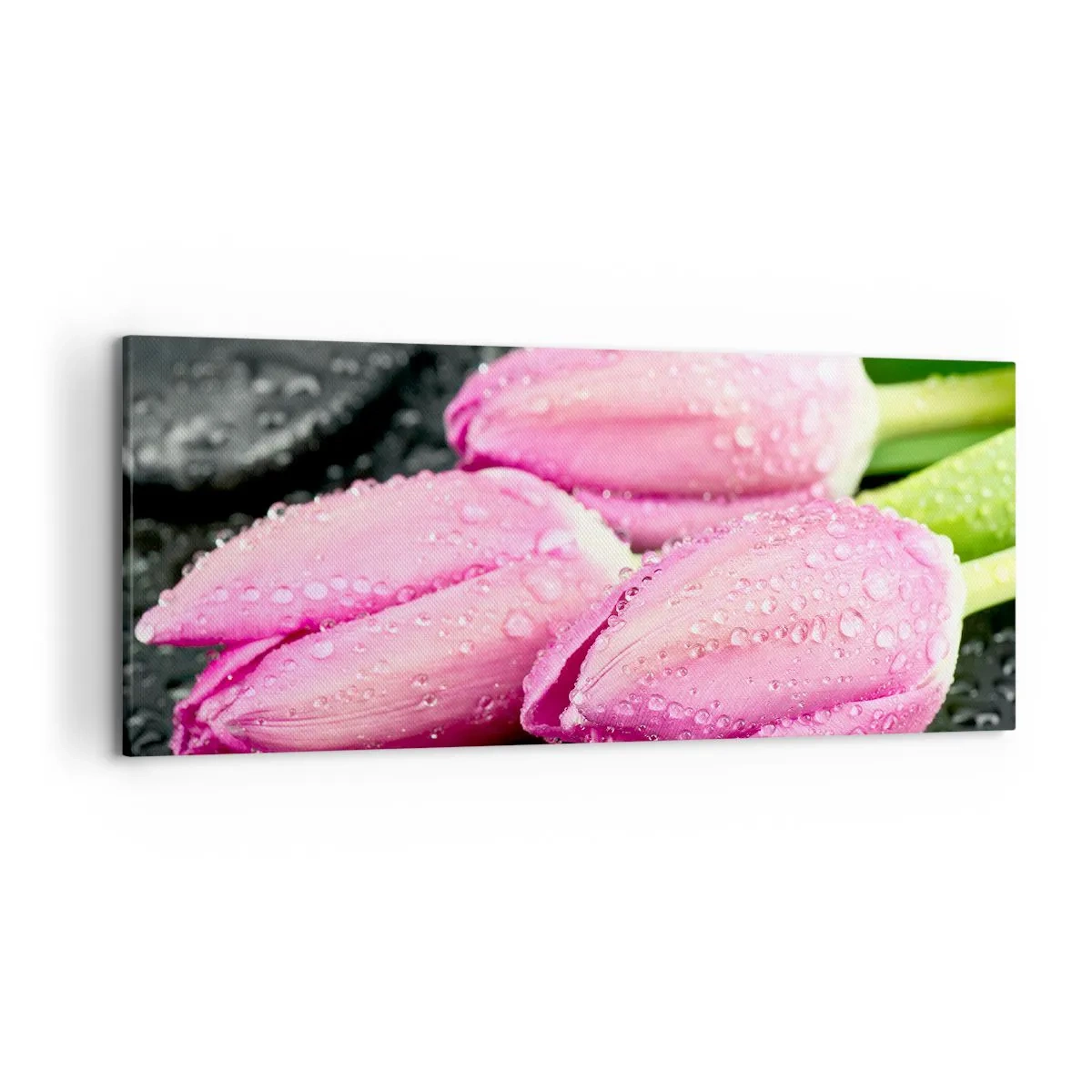 Impression sur toile - Image sur toile - Trois tulipes roses avec des gouttes d'eau sur fond noir - 120x50cm - Lilas trois sur une pierre noire - Décoration murale moderne pour le salon et la chambre ARTTOR