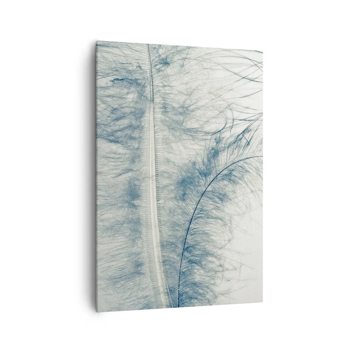 Impression sur toile - Image sur toile - Une plume délicate aux tons pastel sur fond clair - 70x100cm - Les sept natures - Décoration murale moderne pour le salon et la chambre ARTTOR