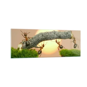 Impression sur verre - Image sur verre - Des fourmis construisent un pont de branches sur fond de soleil couchant. - 140x50cm - La joie, travaille d'équipe - Décoration murale moderne pour le salon et la chambre ARTTOR