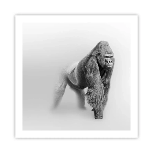Affiche - Poster - Confiant en sa force - 60x60 cm