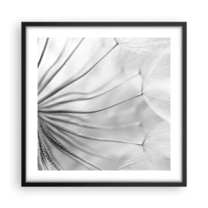 Affiche dans un cadre noir - Poster - Aigrette avant son envol - 50x50 cm