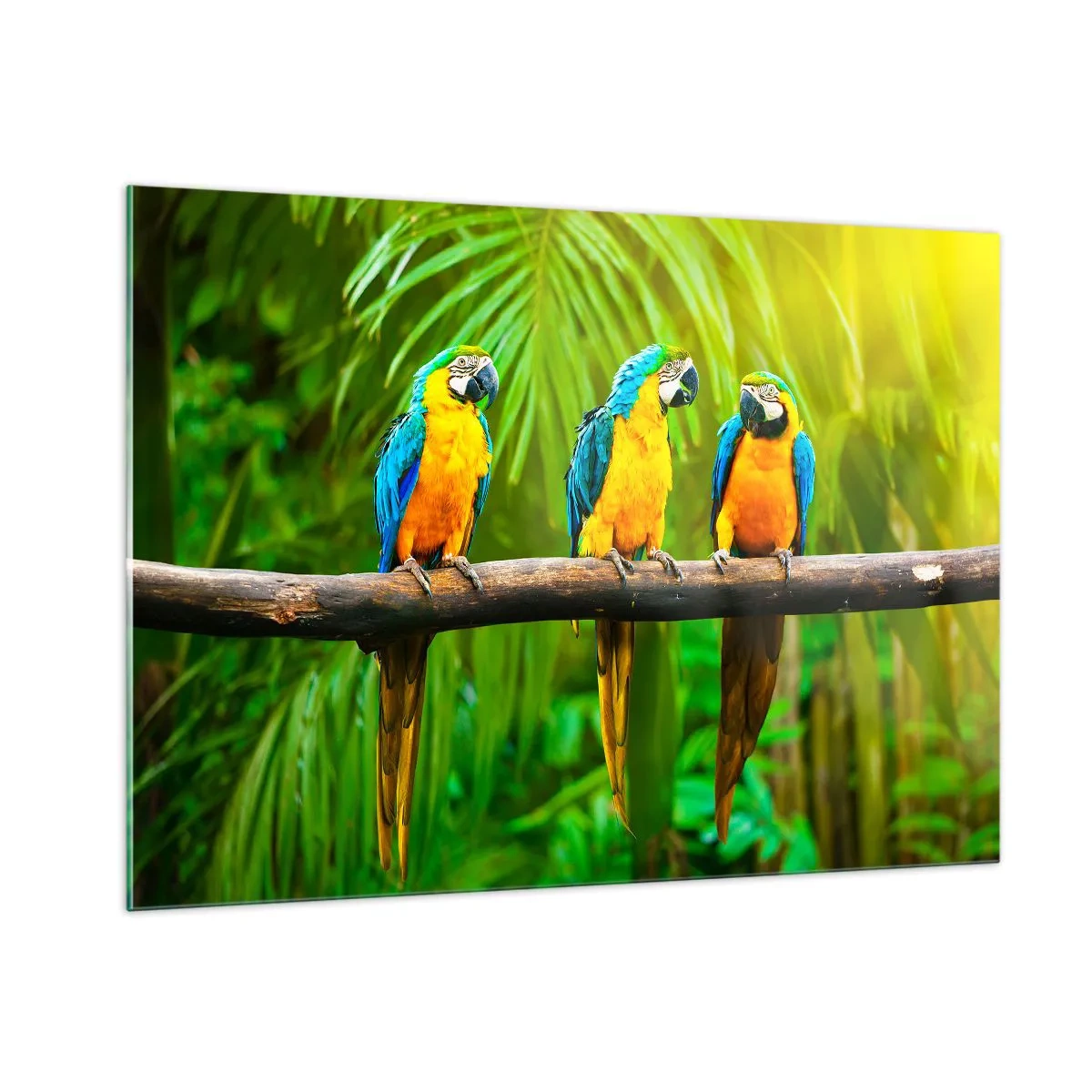 Impression sur verre - Image sur verre - Trois perroquets aras sur une branche dans une forêt tropicale - 100x70cm - Et avez-vous entendu qu'elle ...? - Décoration murale moderne pour le salon et la chambre ARTTOR