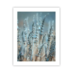 Affiche - Poster - Tige odorante - 40x50 cm