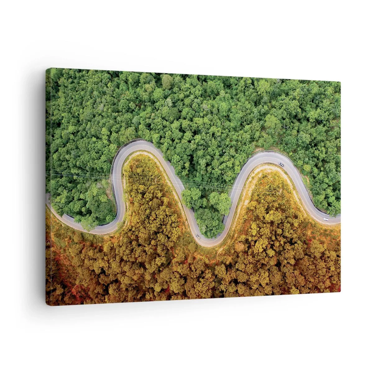 Impression sur toile - Image sur toile - Une route sinueuse à travers la forêt vue à vol d'oiseau - 70x50cm - Frontieres et differences - Décoration murale moderne pour le salon et la chambre ARTTOR