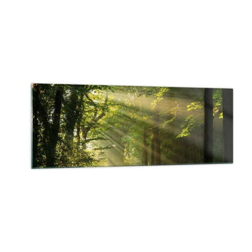 Impression sur verre - Image sur verre - Chemin forestier avec les rayons du soleil qui brillent à travers les arbres - 140x50cm - Moment de forêt - Décoration murale moderne pour le salon et la chambre ARTTOR