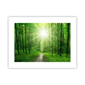 Affiche - Poster - Cathédrale verte - 40x30 cm