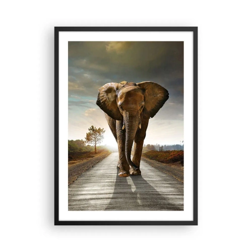 Affiche dans un cadre noir - Poster - Un éléphant marchant le long de la route au coucher du soleil - 50x70cm - Et pas du tout en porcelaine - Décoration murale moderne pour le salon et la chambre ARTTOR