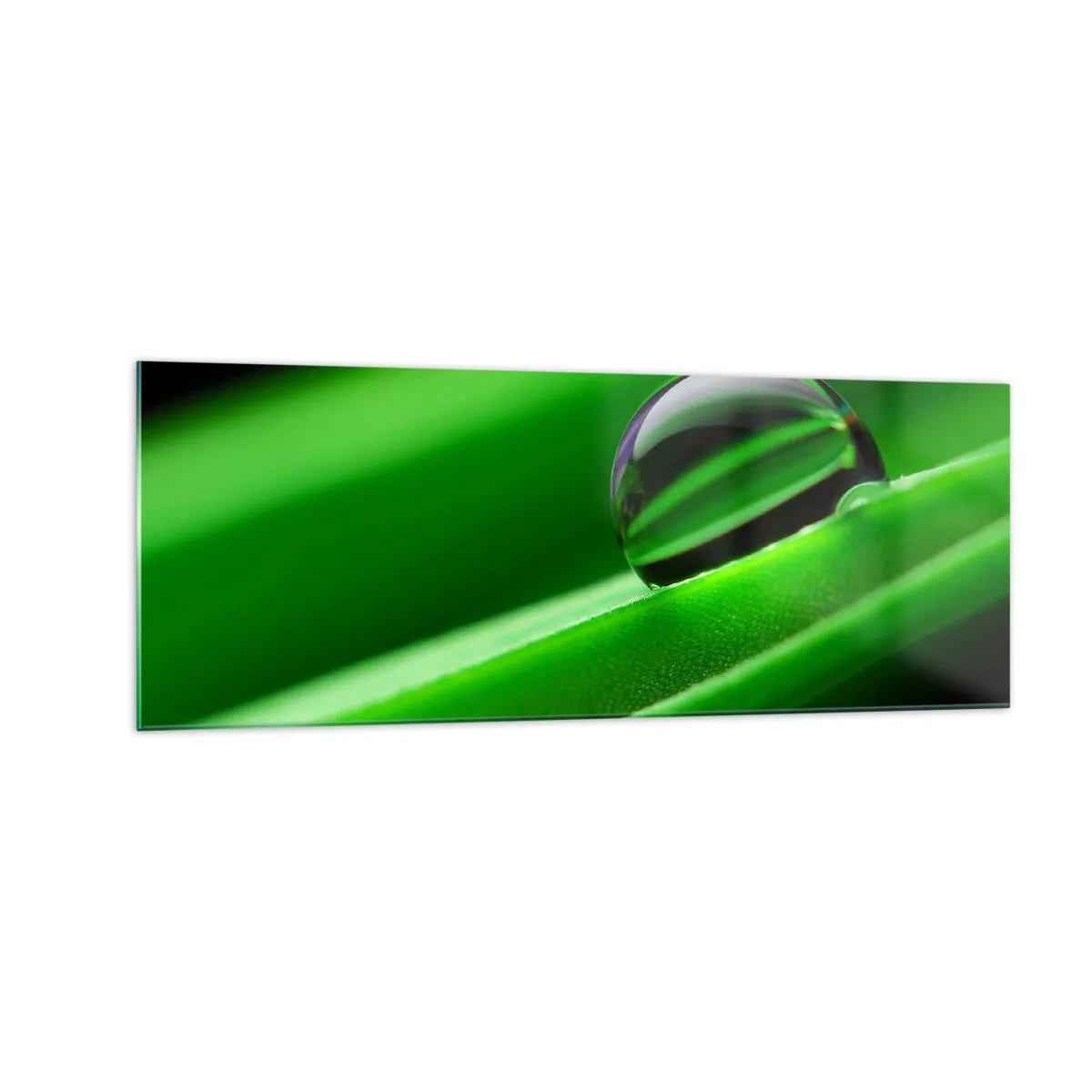 Impression sur verre - Image sur verre - Gros plan d'une goutte de rosée sur une feuille verte - 140x50cm - La vie de près - Décoration murale moderne pour le salon et la chambre ARTTOR