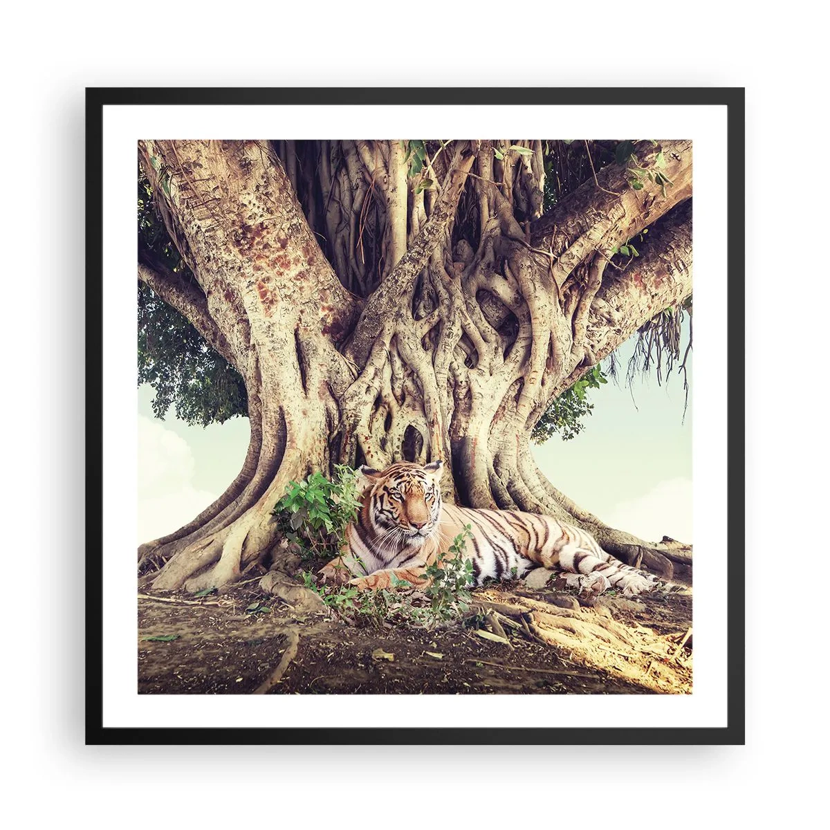 Affiche dans un cadre noir - Poster - Vue du Livre de la Genèse - 60x60 cm