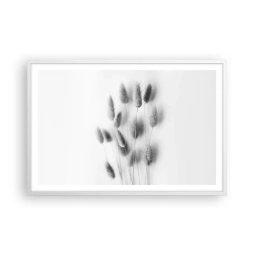 Affiche dans un cadre blanc - Poster - Son herbe duveteuse - 91x61 cm