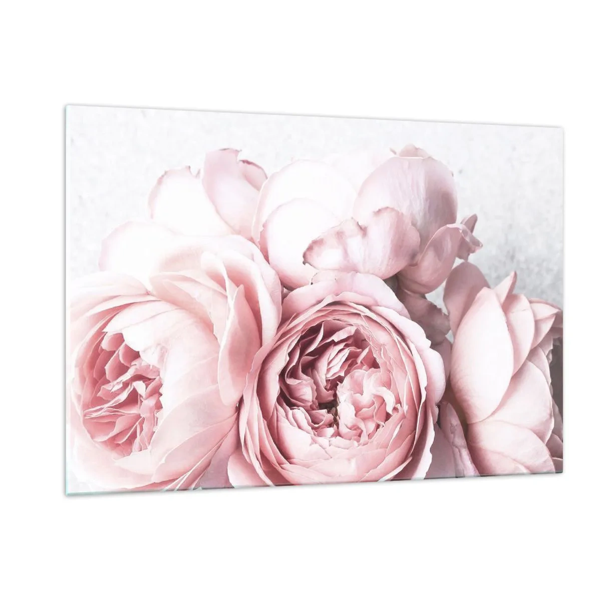 Impression sur verre - Image sur verre - Gros plan de fleurs de pivoine roses dans une lumière douce - 120x80cm - Pour les romantiques - Décoration murale moderne pour le salon et la chambre ARTTOR