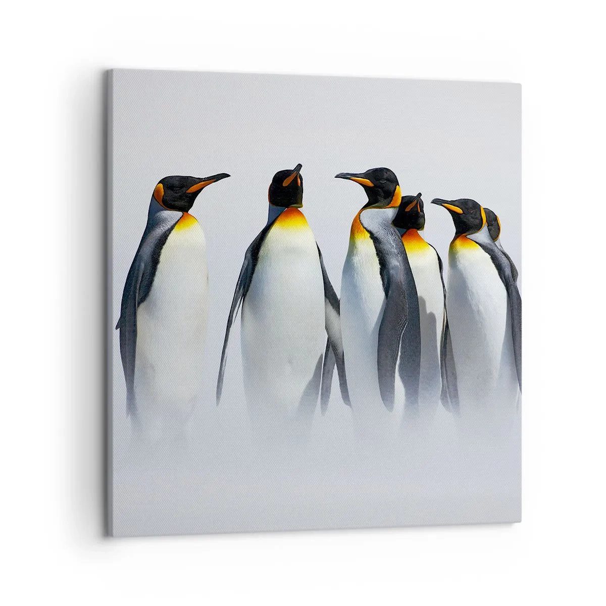 Impression sur toile - Image sur toile - Rencontre en robes de soirée - 50x50 cm