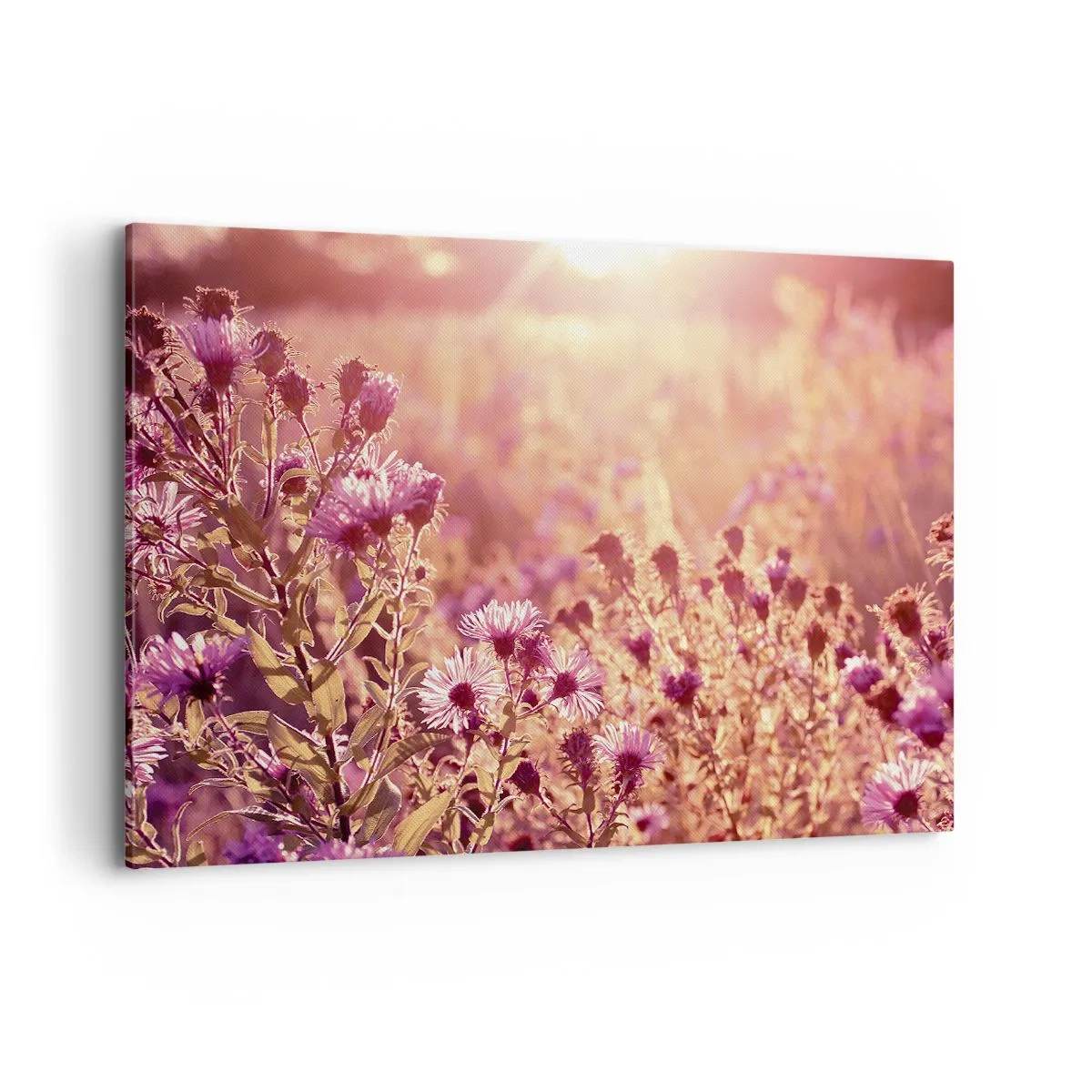 Impression sur toile - Image sur toile - Prairie à la lumière du soleil couchant - 120x80cm - Avant que l'été ne parte - Décoration murale moderne pour le salon et la chambre ARTTOR